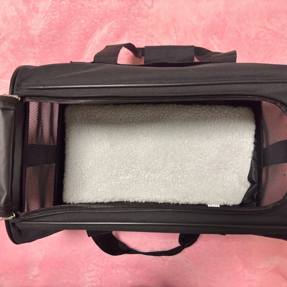 Small black dog carrier